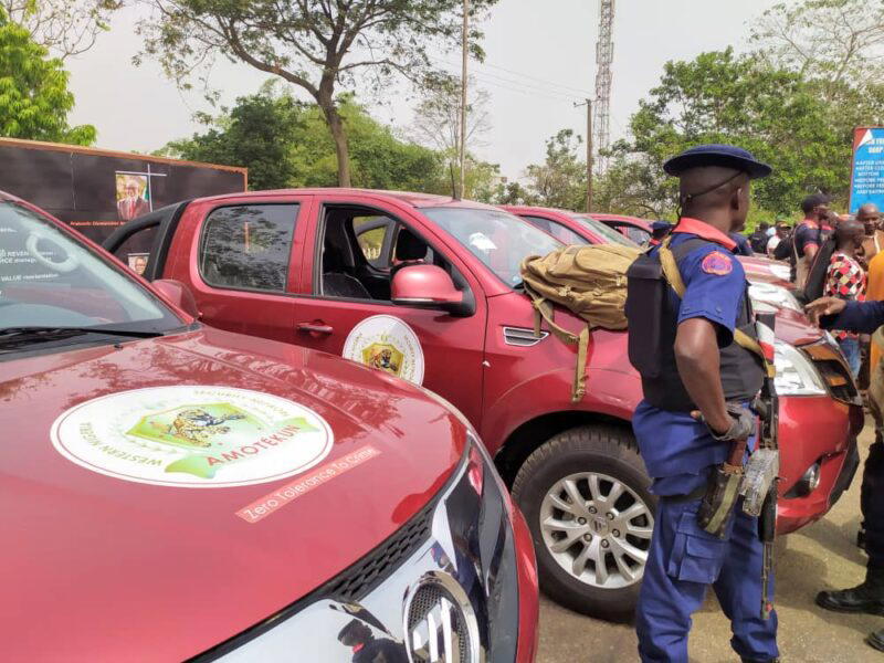 120 cows seized as herdsmen attack, injure Amotekun operatives in Ondo ...