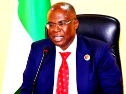 FG sets aside N250bn for autogas vehicle conversion — Sylva