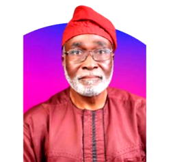 I fear govt won’t implement EndSARS report since its agents desecrated National Anthem, flag — Owokoniran