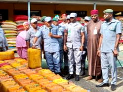 Oyo/Osun Customs Command generates N50.9bn in 10 months