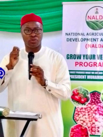 200 youth, women in FCT benefit from NALDA’s training on vegetable farming