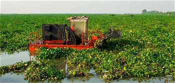 LASWA tackles hyacinth on Lagos waterways