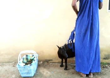 Osun: How I lured and stole goats, mother of three narrates