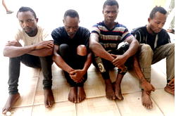 IRT  bursts trans-border robbery gang,  recovers smuggled weapons
