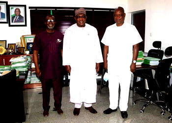 Solid Minerals Investment: MCO calls for synergy between govt, private sector