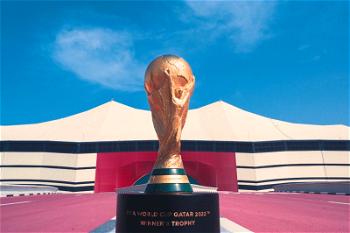 Qatar marks one year to go to FIFA World Cup 2022