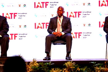Intra-African Trade Fair: Wale Tinubu speaks on aligning govt, private sector’s interests