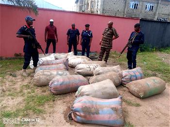 Lagos NSCDC impounds 19 sacks laden with 2,850 litres of PMS in Badagry