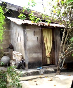 Dog eats drunk herbalist’s private parts in Calabar
