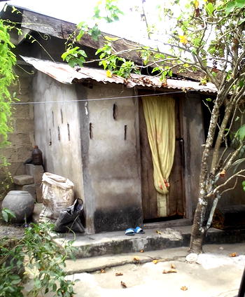 Dog eats drunk herbalist’s private parts in Calabar