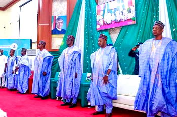 Synergy displayed by NEGF helped in gradual return of peace — Zulum
