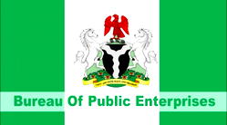 UPDATED: BPE Names Akinwumi AEDC Interim MD