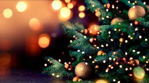 Christmas On security and contentment at Christmas