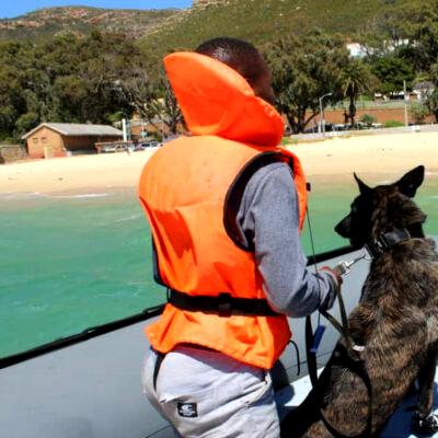 Response to Illegal Wildlife Poaching: Specialist K9 units deployed at Table Mountain National Park