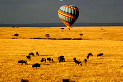 Let the Word make you whole