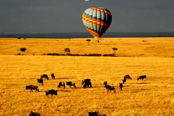 Let the Word make you whole