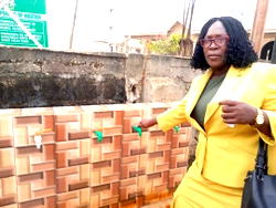 FMARD commissions, hands-over motorised borehole to Poro Bage community