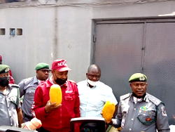 Customs impounds 14 trailer-load of rice, india hemp, others worth N713.7m 3 weeks
