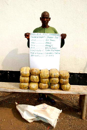 NDLEA nabs 3 fake security agents, others, with 427kg drugs in Borno, Abuja