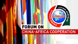 Nigeria, others, to benefit from China 9 programs for Africans –  Chu Maoming