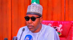 Update on Kala-Balge: Zulum’s aide confirms 32 killed, says victims weren't farmers
