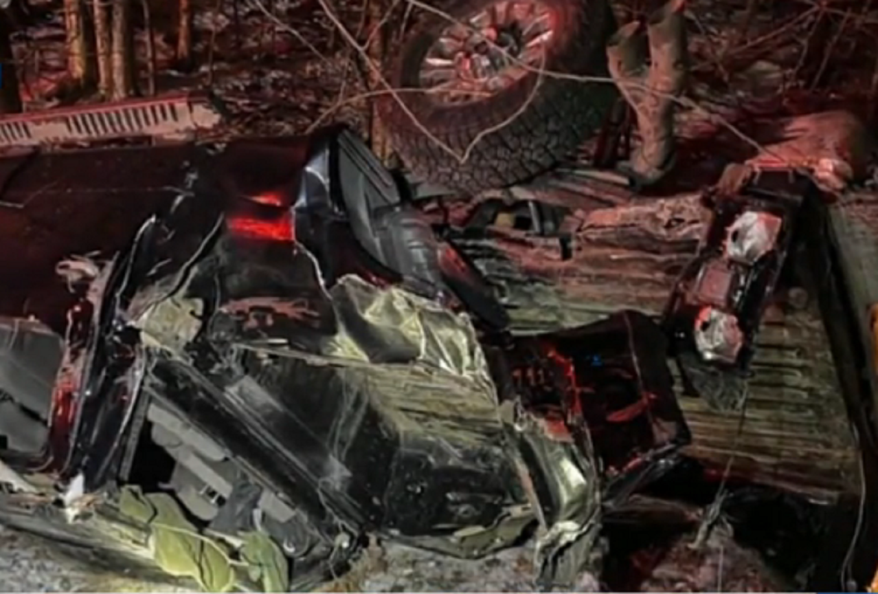 ‘Follow me’: Dog finds help, leads police to owner’s car crash