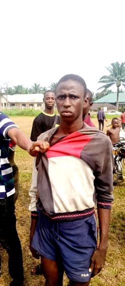 Tension in Delta community as herdsmen invade farmlands, destroy crops, residents flee