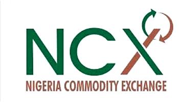 NCX shareholders appoint 3 Directors to oversee organisation