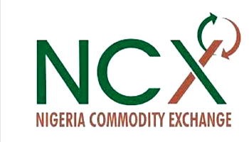 NCX shareholders appoint 3 Directors to oversee organisation
