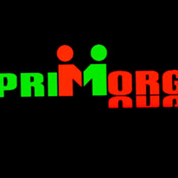 PRIMORG to flag of constituency projects engagements in 2022