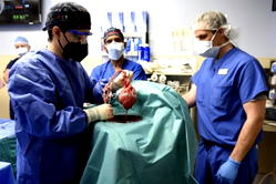 In 1st, US surgeons transplant pig heart into human patient
