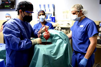 In 1st, US surgeons transplant pig heart into human patient