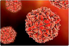 Non-communicable Diseases accounts for 30% death annually in Nigeria – CAPPA