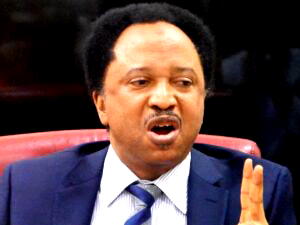 Shehu Sani