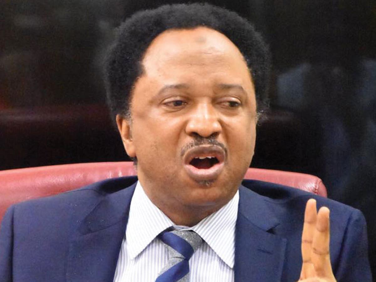 Elections: Why APC leaders are at war with Buhari – Shehu Sani