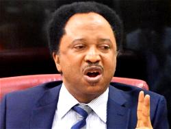Hike in fuel price now reality Nigerians have to live with – Shehu Sani 