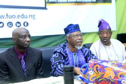 Strengthening public institutions is key to driving social engineering — Falola