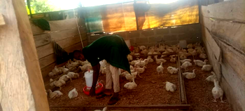 We’re training 4,000 youths, women for agro-businesses empowerment in Bayelsa – LIFE-ND