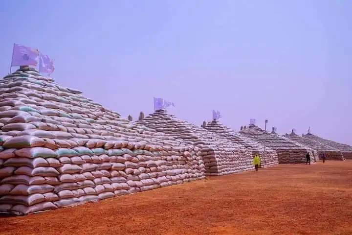 Food Security: Hope rises as millers evacuate Abuja rice pyramids for processing