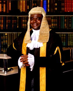 FG should enforce Mandatory climate disclosure in all key sectors  – Professor Olawuyi, SAN