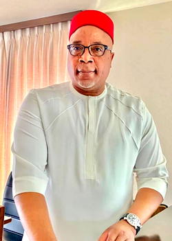 2023: Nigeria needs fresh ideas from diaspora, says Presidential aspirant, Nnaji