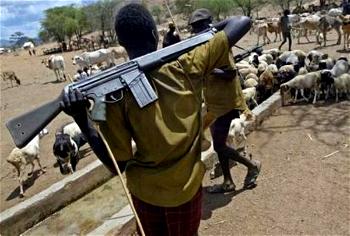 Armed herders invade Suswam’s home town, destroy farms, sack four Council Wards, villages