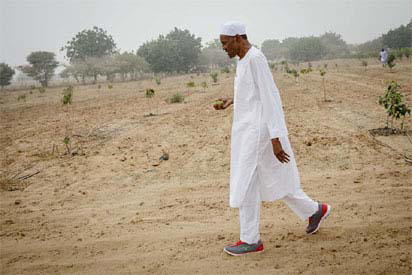 If I had not intervened, people would be trekking from Lagos to Abuja — Buhari