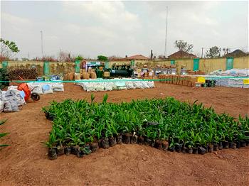 FG distributes seedlings, farm inputs to farmers in Osun