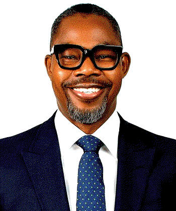 Resourceful Legislature: The Adeogun example