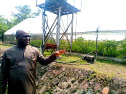Rising cost of maize frustrating poultry farming — Gen Ihejirika