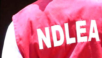 NDLEA arrests Sokoto Traditional Ruler over 436kg cannabis sativa, diazepam