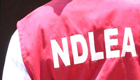 N22bn Tramadol: Businessman files N200m fundamental rights suit against NDLEA