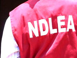 Drugs menace: NDLEA admonishes parents to monitor children closely