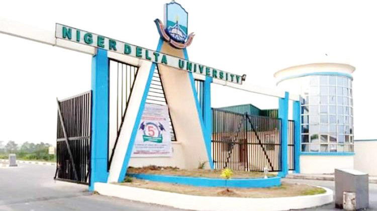 Niger-Delta University